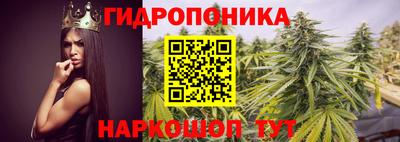 МДПВ Мариинск
